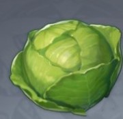 原神卷心菜购买位置分享