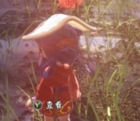 天穗之咲稻姬保险起见成就玩法介绍