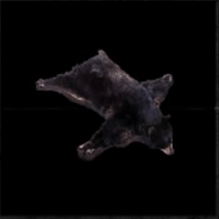 刺客信条英灵殿黑熊分布位置一览