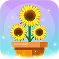 空闲植物花园完整存档版