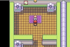 口袋妖怪火红红莲道馆打法攻略