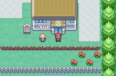 口袋妖怪火红常磐道馆打法攻略