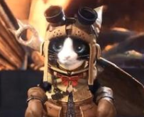 怪物猎人世界艾露猫培养攻略分享