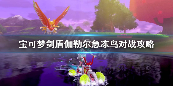 宝可梦剑盾急冻鸟伽勒尔对战怎么样伽勒尔急冻鸟对战攻略 街机中国 宝可梦剑盾急冻鸟伽勒尔对战怎么样伽勒尔急冻鸟对战攻略 街机中国
