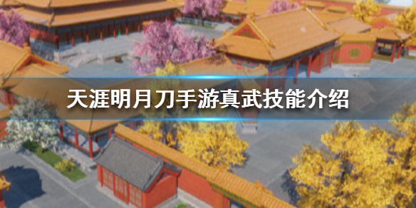 天涯明月刀手游真武技能图文详解