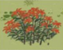 江南百景图野草采集获取一览