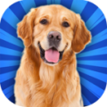 虚拟小狗和狗历险记免费版