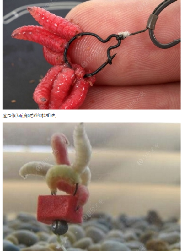 俄罗斯钓鱼4 Russianfishing4 Maggot钓组攻略 街机中国