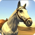 沙漠赛马ios版