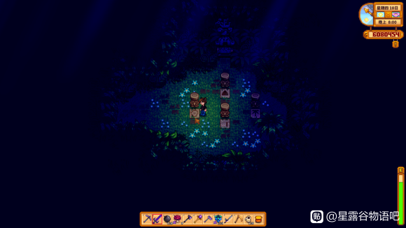 星露谷物语1.5版本丛林解密对应位置详解