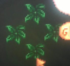 星露谷物语树上金核桃获取指南