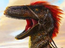 方舟生存进化极品飞龙获取途径分享