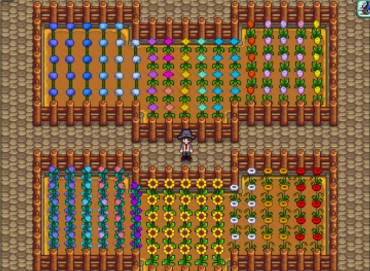 星露谷物语姜岛种花详解