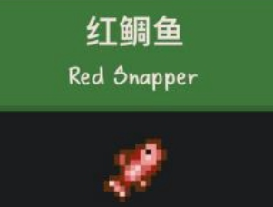 星露谷物语红鲷鱼获得指南
