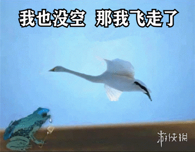 2,我也没空,那我飞走了