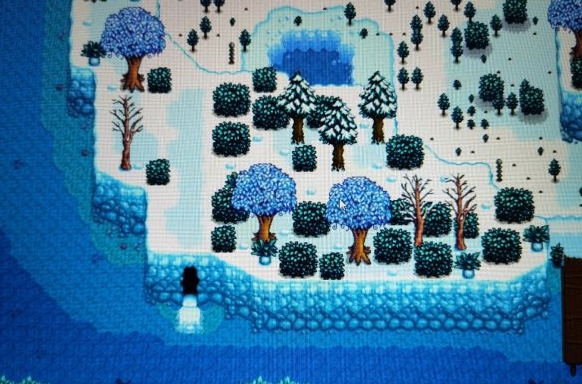 星露谷物语沙滩农场左下角洞进入技巧