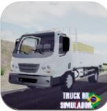 Br卡车模拟器bt版