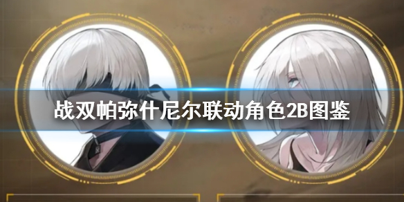 《战双帕弥什》尼尔联动角色2B图鉴 尼尔联动2B怎么样