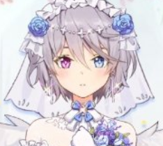 绯红之境花嫁皮肤展示