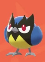 口袋妖怪剑盾全国图鉴大全 稚山雀,蓝鸦,钢铠鸦进化图文攻略分享