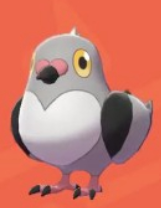 口袋妖怪剑盾全国图鉴大全 豆豆鸽,咕咕鸽,高傲雉鸡进化图文攻略分享