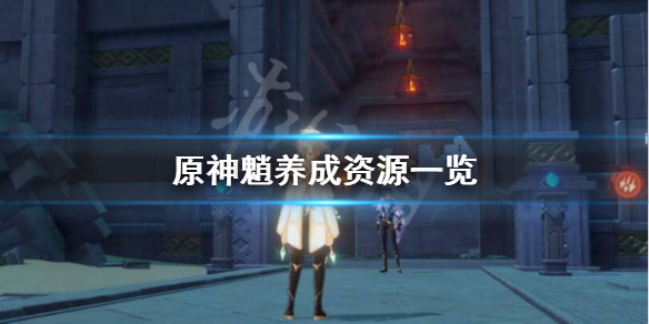 《原神》魈怎么养？魈养成资源一览