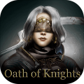 骑士的誓言2.0