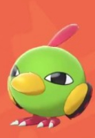 口袋妖怪剑盾全国图鉴大全 天然雀,天然鸟进化图文攻略分享