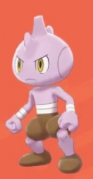 口袋妖怪剑盾全国图鉴大全 无畏小子,飞腿郎,快拳郎,战舞郎进化图文攻略分享