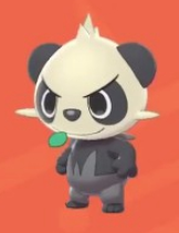 口袋妖怪剑盾全国图鉴大全 顽皮熊猫,流氓熊猫进化图文攻略分享