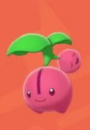 口袋妖怪剑盾全国图鉴大全 樱花宝,樱花儿进化图文攻略分享