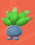 口袋妖怪剑盾全国图鉴大全 走路草,臭臭花,霸王花,美丽花进化图文攻略分享