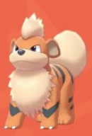 口袋妖怪剑盾全国图鉴大全 卡蒂狗,风速狗进化图文攻略分享