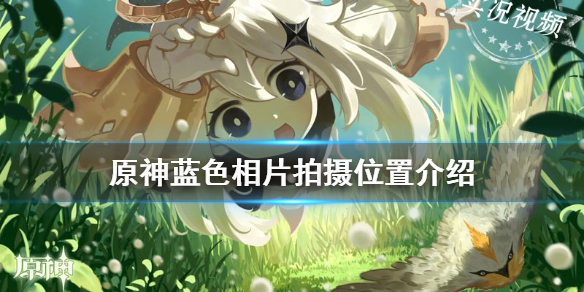 《原神手游》福至五彩蓝色相片在哪拍 蓝色相片拍摄位置介绍