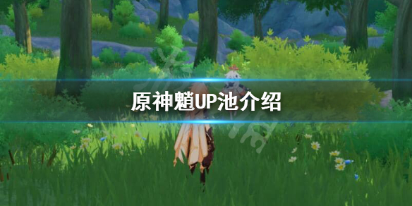 《原神》魈UP什么时候上线？魈UP池介绍