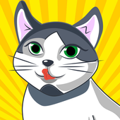 喂养小猫