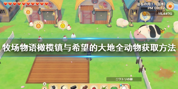 牧场物语橄榄镇与希望的大地动物怎么获得全动物获取方法 超能街机