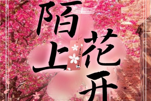 百变大侦探陌上花开凶手是谁 百变大侦探陌上花开真相解析