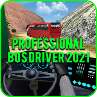 专业巴士司机