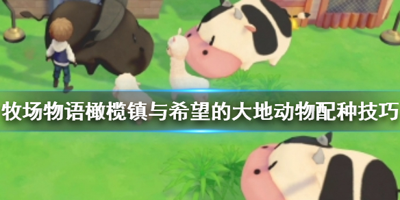 《牧场物语橄榄镇与希望的大地》动物怎么配种 动物配种技巧