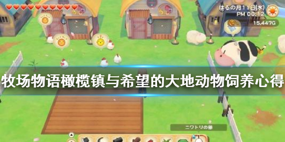 《牧场物语橄榄镇与希望的大地》动物饲养要注意什么 动物饲养心得