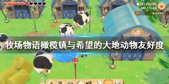 《牧场物语橄榄镇与希望的大地》动物友好度怎么提升 动物友好度提升指南