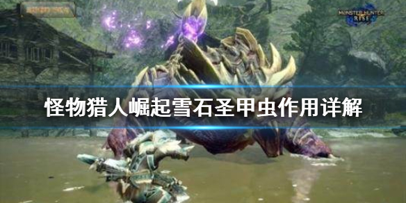 《怪物猎人崛起》雪石圣甲虫有什么用 雪石圣甲虫作用详解