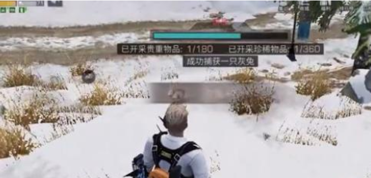 明日之后如何获取灰兔毛