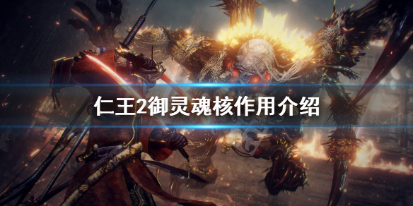 《仁王2》御灵魂核有什么用？御灵魂核作用介绍