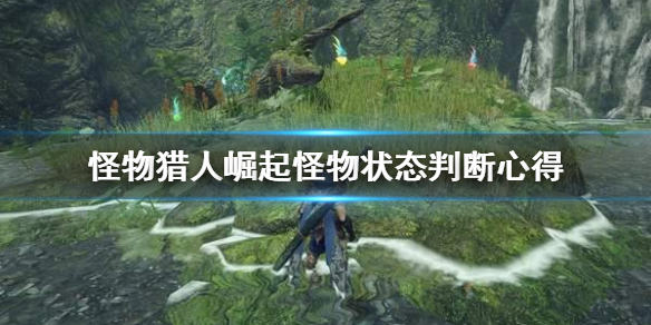 《怪物猎人崛起》怪物状态怎么判断 怪物状态判断心得