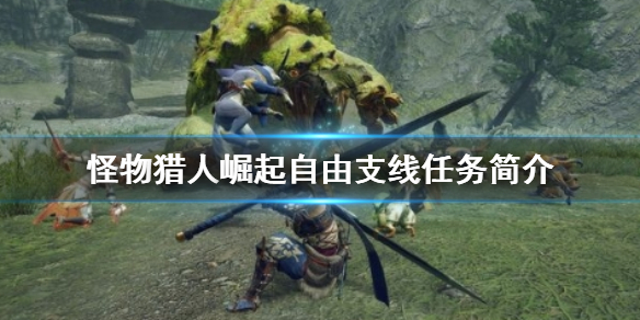 《怪物猎人崛起》自由支线任务是什么 自由支线任务简介