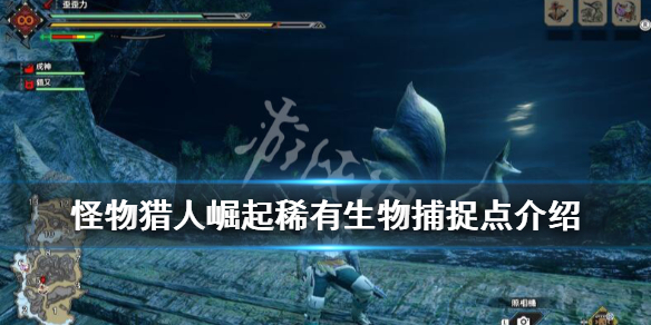 《怪物猎人崛起》稀有生物怎么抓？稀有生物收集点介绍