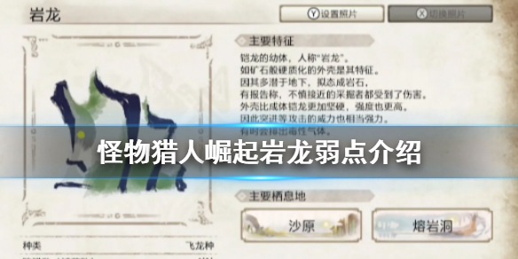 《怪物猎人崛起》岩龙弱点是什么 岩龙弱点介绍