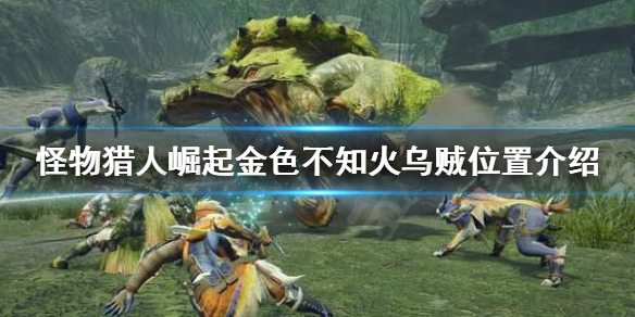 《怪物猎人崛起》金色不知火乌贼在哪 金色不知火乌贼位置介绍